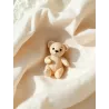 L'ourson de poche