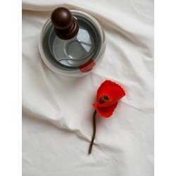 Le coquelicot séché