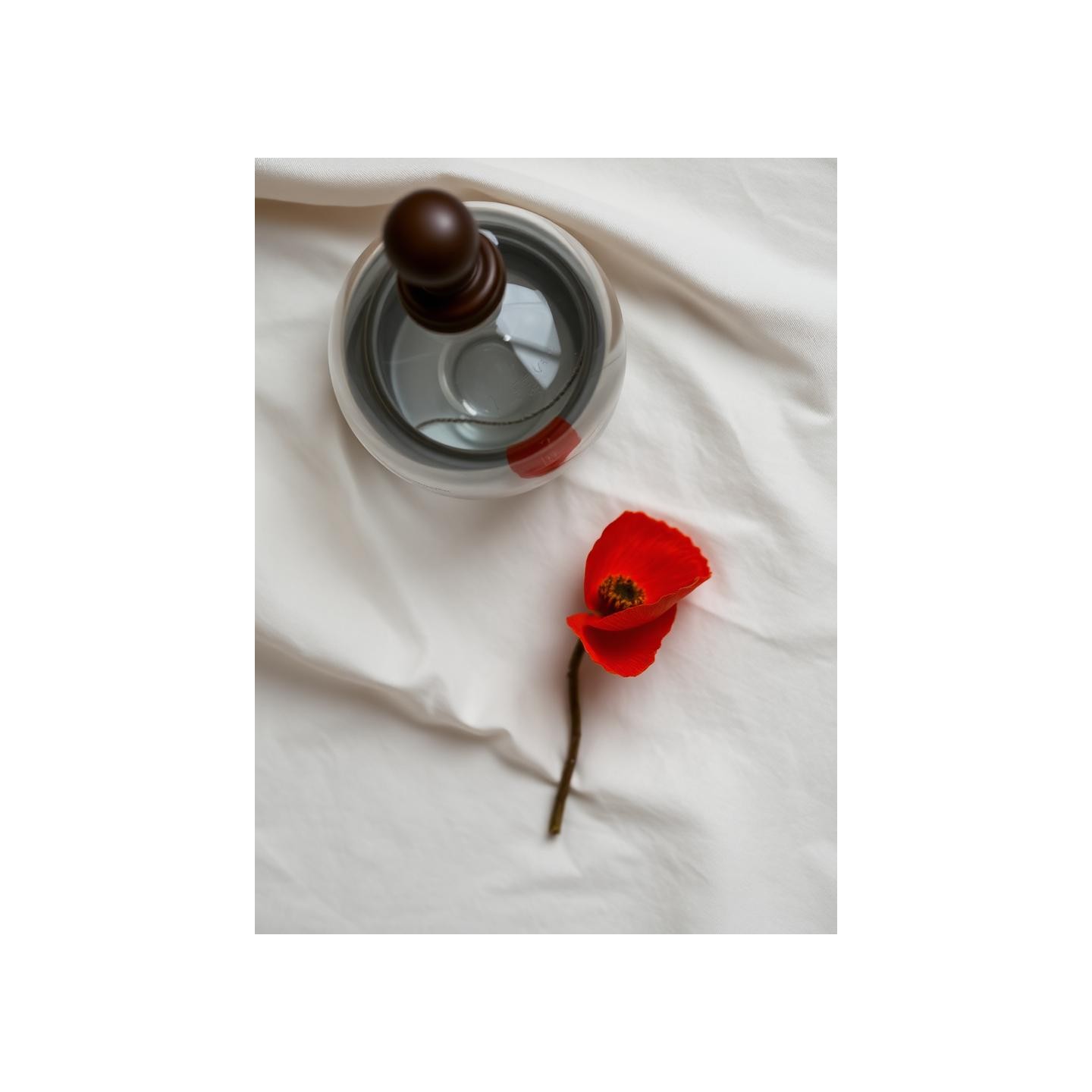 Le coquelicot séché