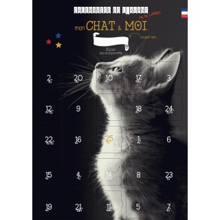 Calendrier De L Avent Mon Chat Et Moi 25 Jeux Et Astuces