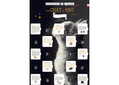Calendrier De L Avent Mon Chat Et Moi 25 Jeux Et Astuces Person