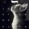 Calendrier de l'Avent Animal (Chat et Chien)